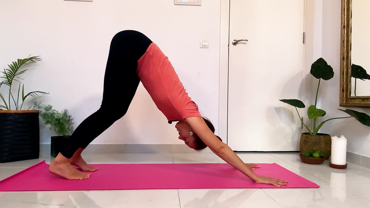 Yoga für Anfänger zu Hause, herabschauender Hund, Frau Einstieg Yoga als Contentelement.